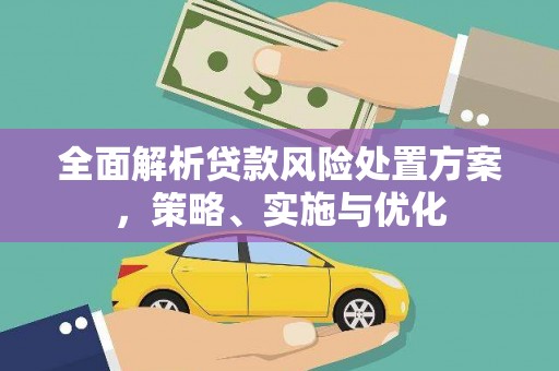 刚察全面解析贷款风险处置方案，策略、实施与优化