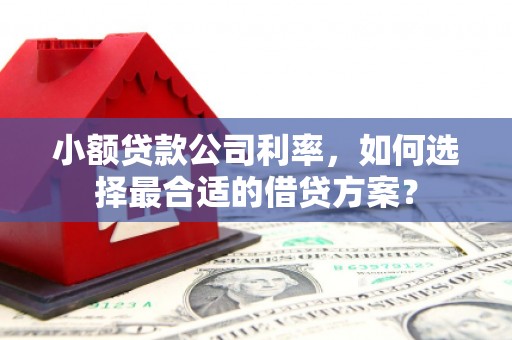 刚察小额贷款公司利率，如何选择最合适的借贷方案？