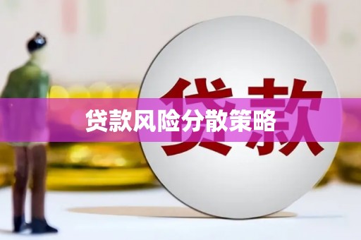 刚察贷款风险分散策略