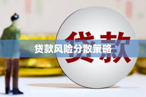 刚察贷款风险分散策略