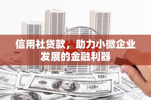 刚察信用社贷款，助力小微企业发展的金融利器