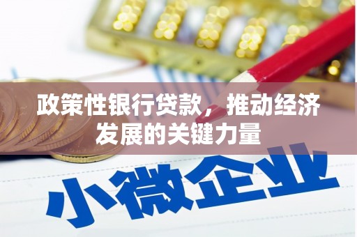刚察政策性银行贷款，推动经济发展的关键力量