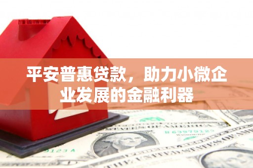 刚察平安普惠贷款，助力小微企业发展的金融利器