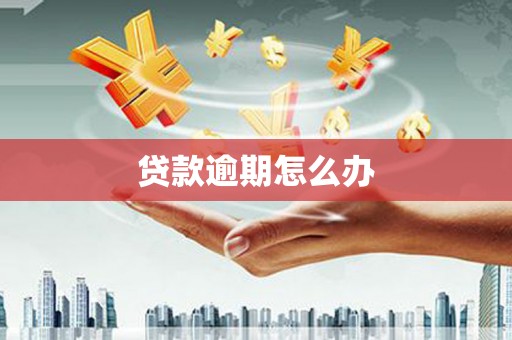 刚察贷款逾期怎么办