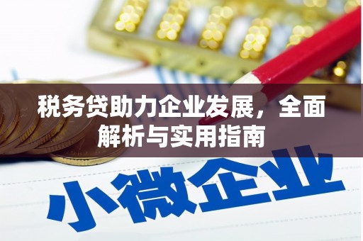 刚察税务贷助力企业发展，全面解析与实用指南