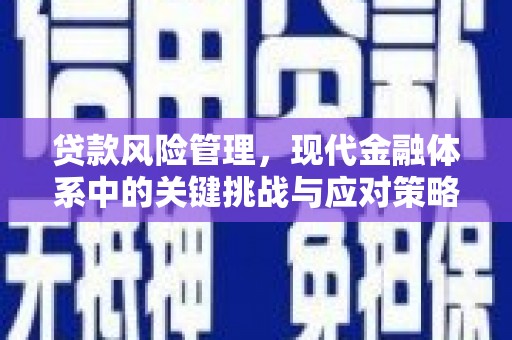 刚察贷款风险管理，现代金融体系中的关键挑战与应对策略