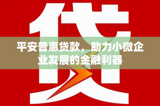 刚察平安普惠贷款，助力小微企业发展的金融利器