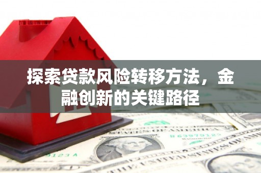 刚察探索贷款风险转移方法，金融创新的关键路径