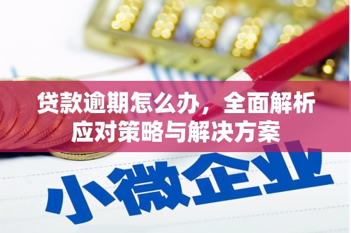 刚察贷款逾期怎么办，全面解析应对策略与解决方案