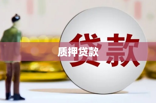 刚察质押贷款