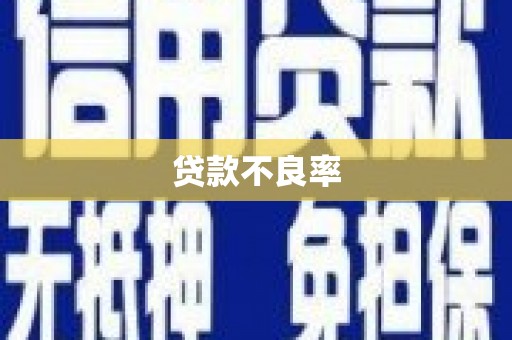 刚察贷款不良率