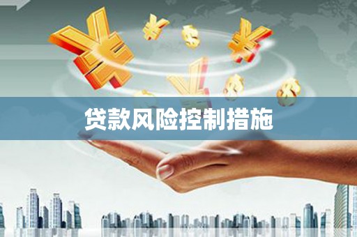刚察贷款风险控制措施