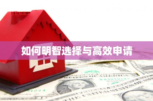 刚察如何明智选择与高效申请