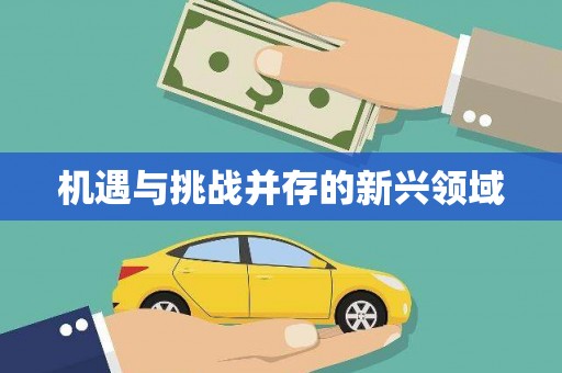 刚察机遇与挑战并存的新兴领域