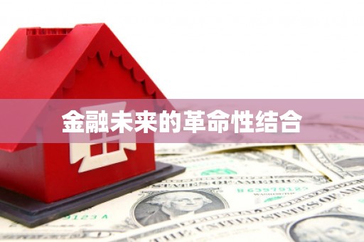 刚察金融未来的革命性结合