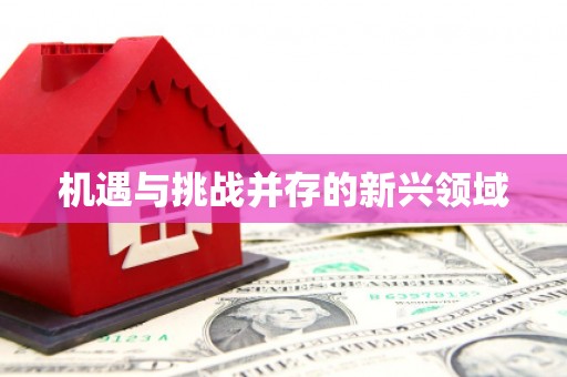 刚察机遇与挑战并存的新兴领域