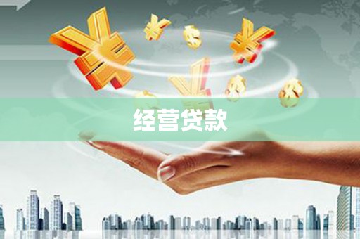 刚察经营贷款