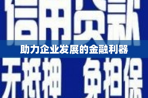 刚察助力企业发展的金融利器