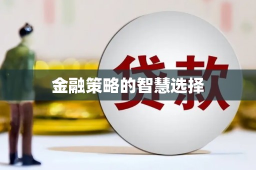 刚察金融策略的智慧选择
