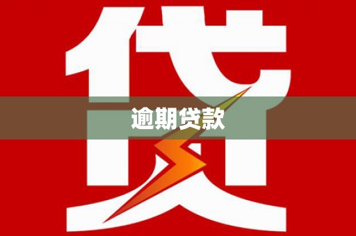 刚察逾期贷款