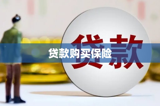 刚察贷款购买保险