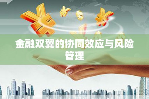 刚察金融双翼的协同效应与风险管理
