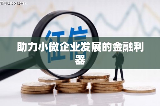 刚察助力小微企业发展的金融利器
