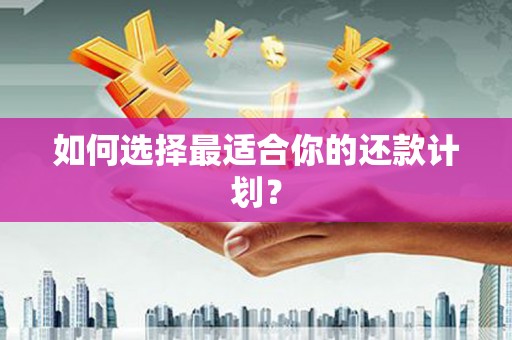 刚察如何选择最适合你的还款计划？