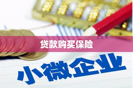 刚察贷款购买保险