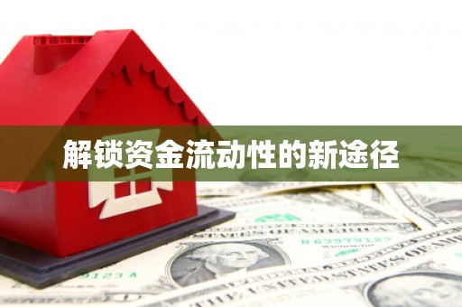 刚察解锁资金流动性的新途径