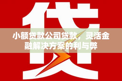 刚察小额贷款公司贷款，灵活金融解决方案的利与弊