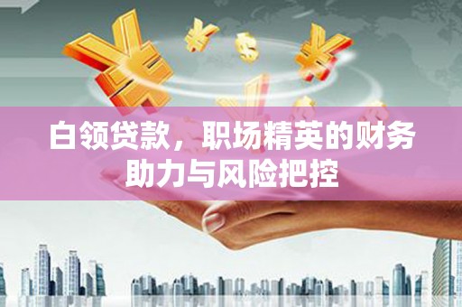 刚察白领贷款，职场精英的财务助力与风险把控
