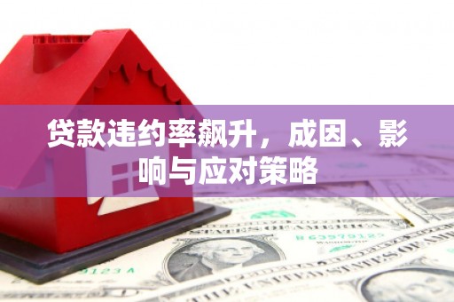 刚察贷款违约率飙升，成因、影响与应对策略